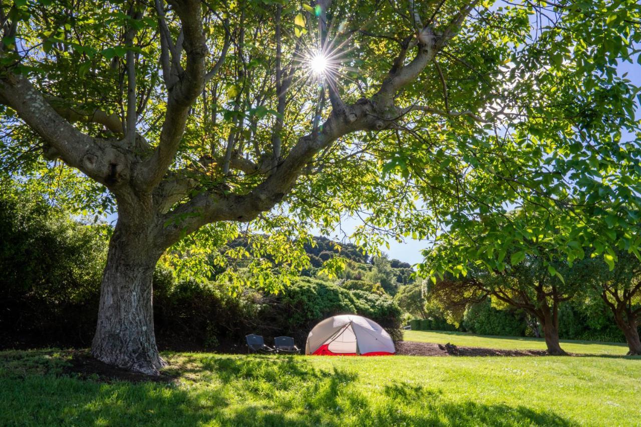 Akaroa Top 10 Holiday Park Extérieur photo